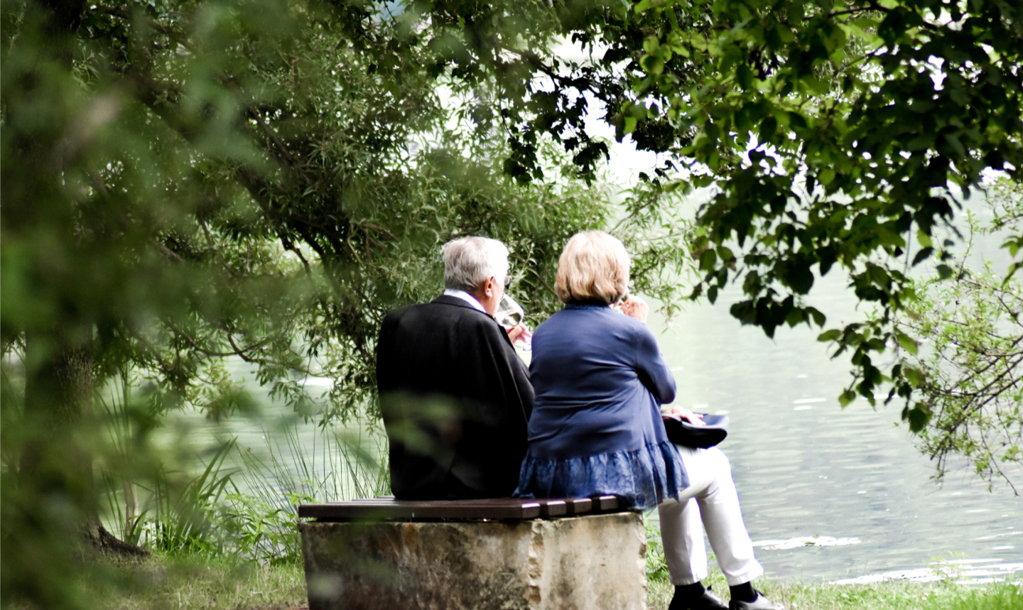 Lægernes Pension & Bank - Webportal